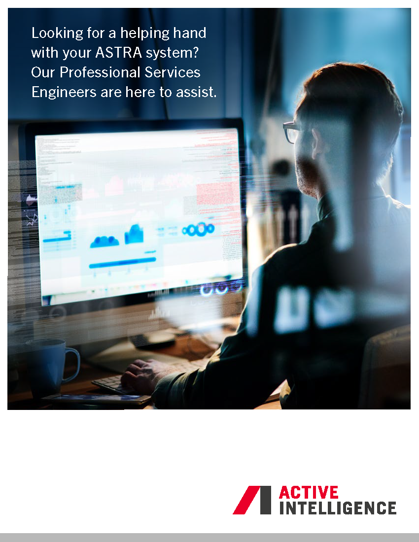 Active Intelligence Professional Services Flyer